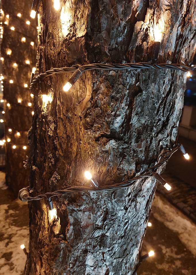 Tree Lights