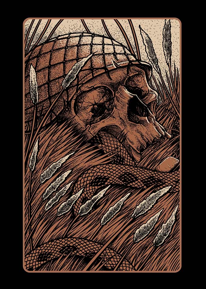 Skull in Grass