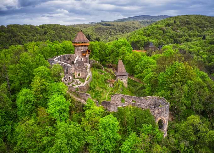 Ruined Castle in Forest