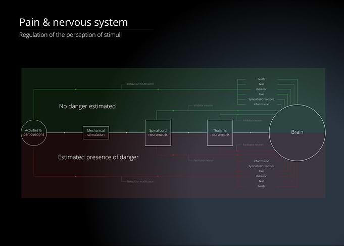 Pain & Nervous System Diagram
