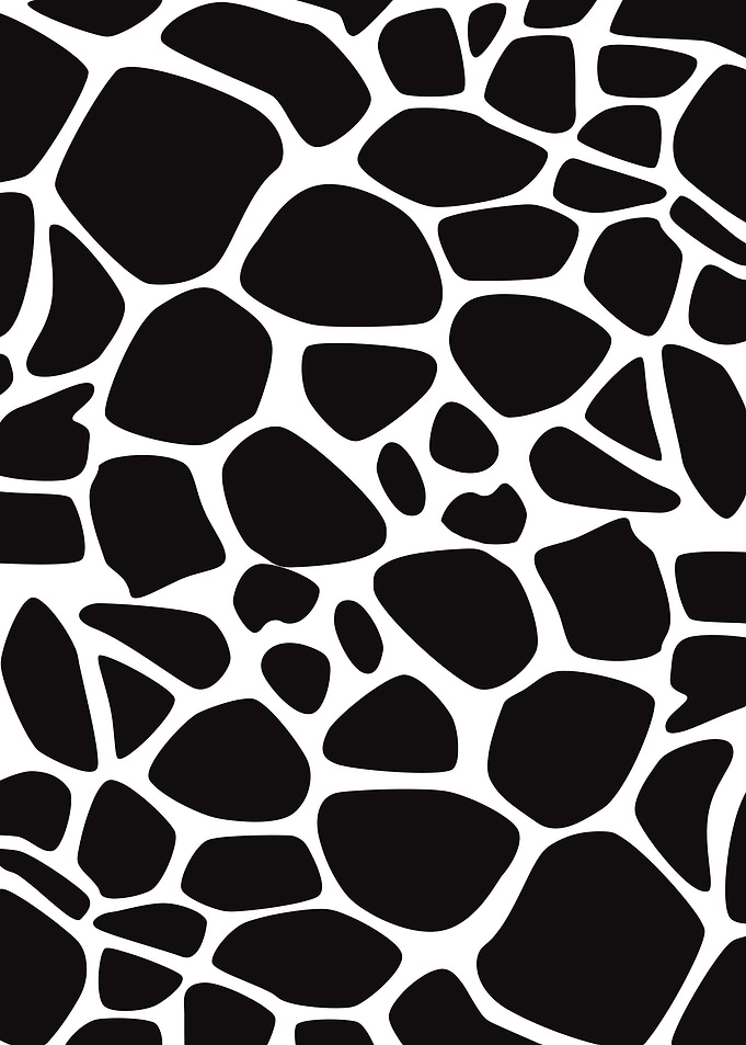 Black and White Animal Print
