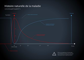 Natural History of illness Graph - French