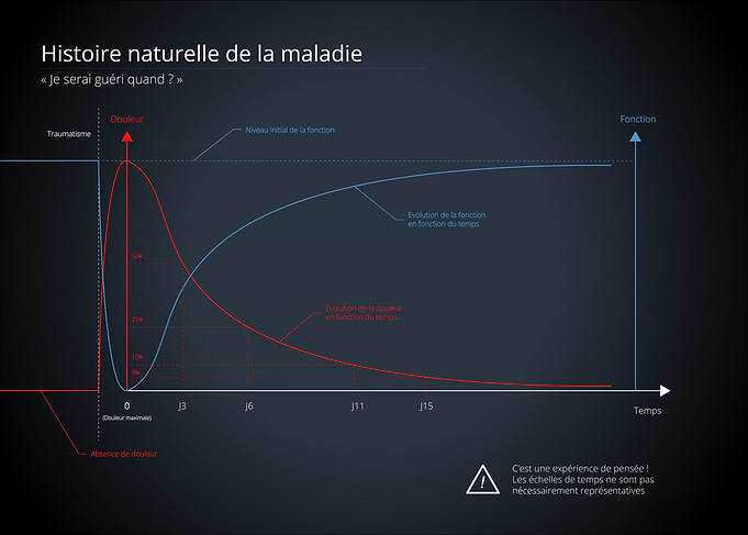 Natural History of illness Graph - French
