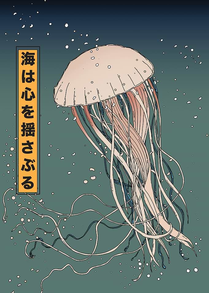 Japanese Jellyfish Illustration