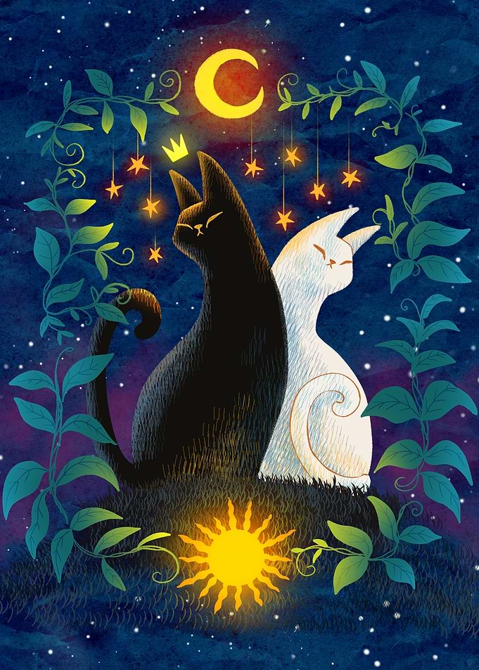 Cosmic Cats