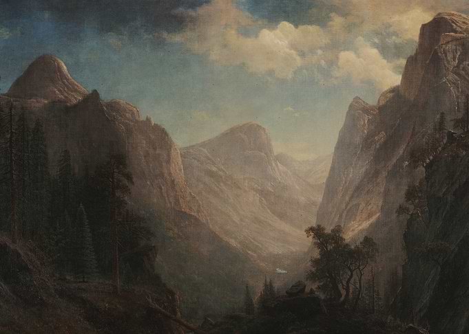 View in the Yosemite Valley