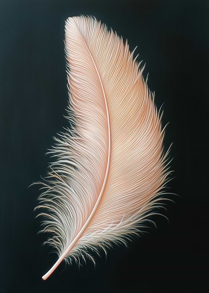 Single Orange Feather