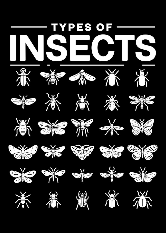 Types Of Insects
