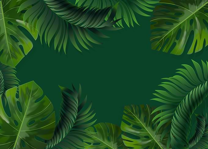 Tropical Leaf Border