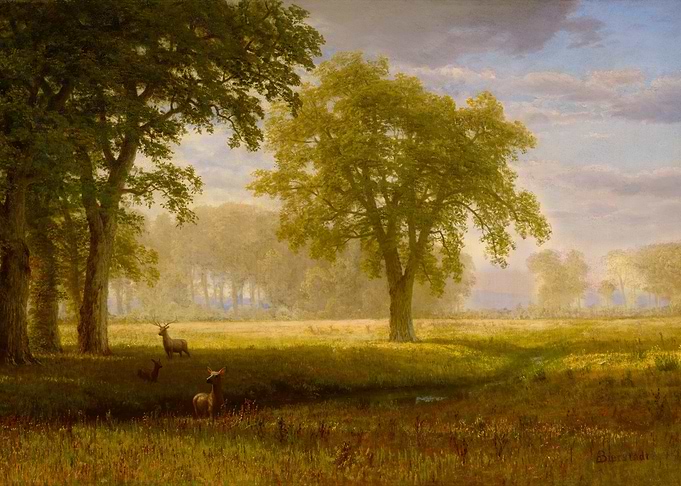 Elk in Oak Grove (1875)