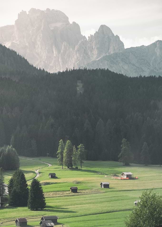 Mountain Meadow Landscape