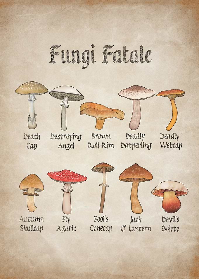 Fungi Fatale