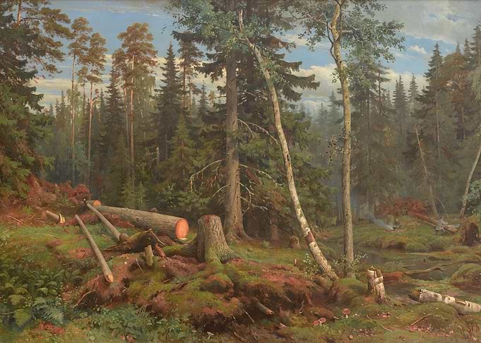 Forest Clearing