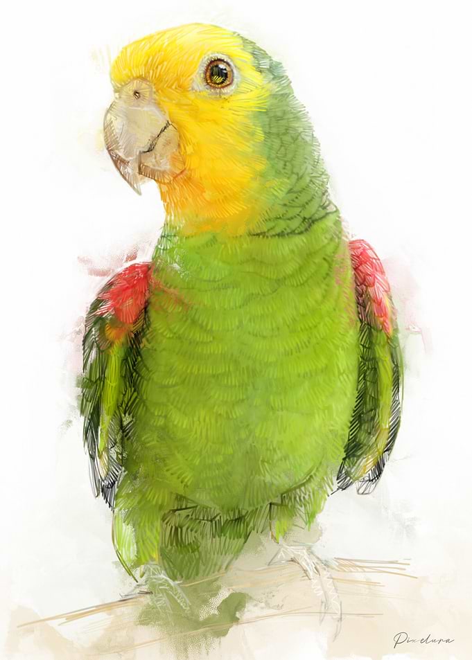 Green and Yellow Parrot