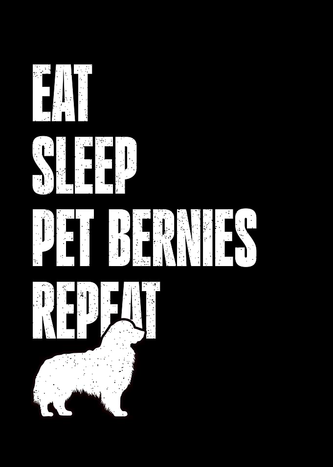 Bernese Mountain Dog Quote