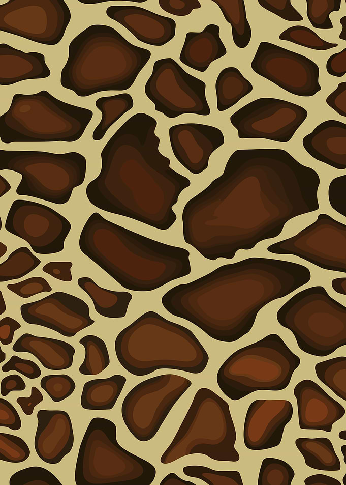 Giraffe Skin Pattern