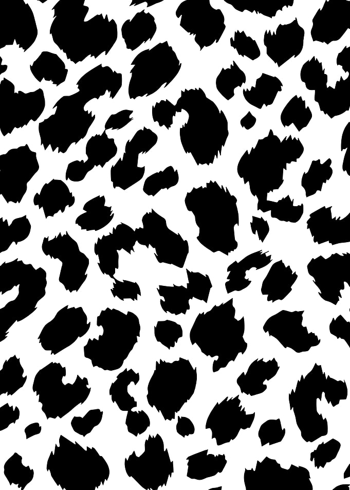 Leopard Print Pattern