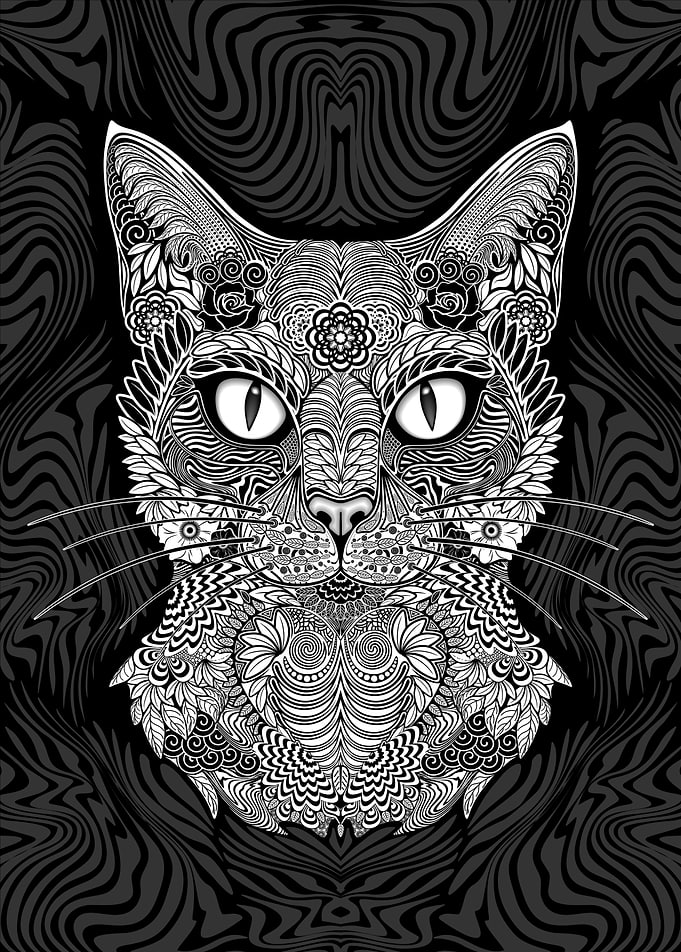 Cat Zentangle intricate Pattern
