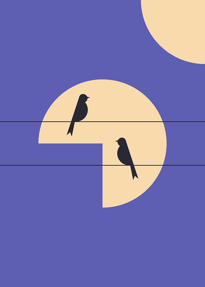 Birds sit on wires