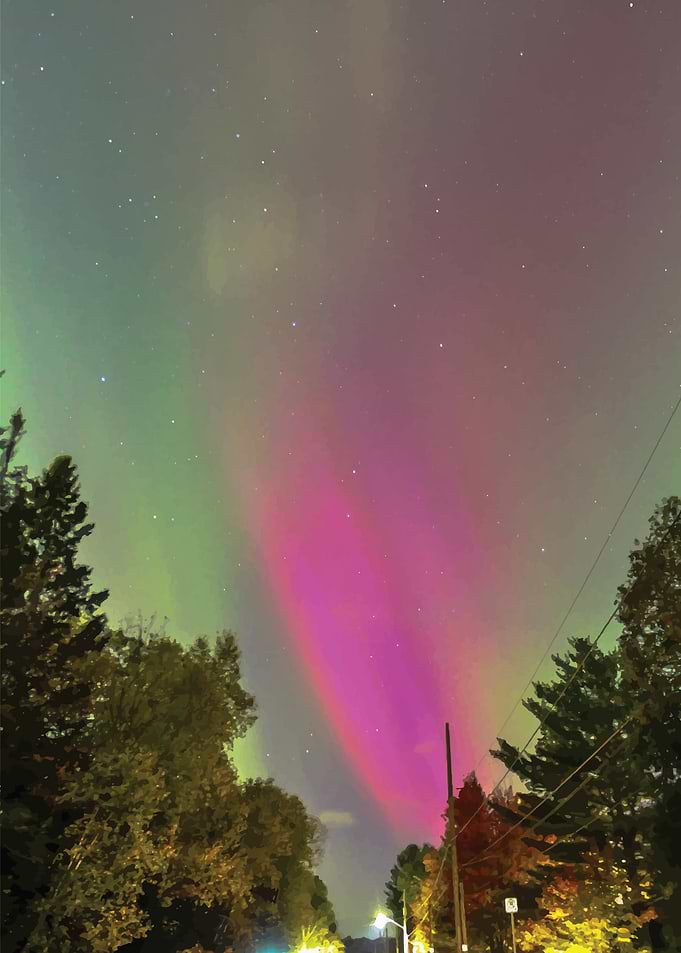 Northern Lights Over Trees