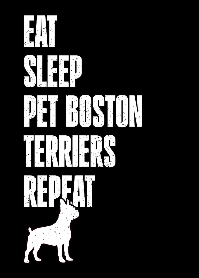 Boston Terrier Dog Lover