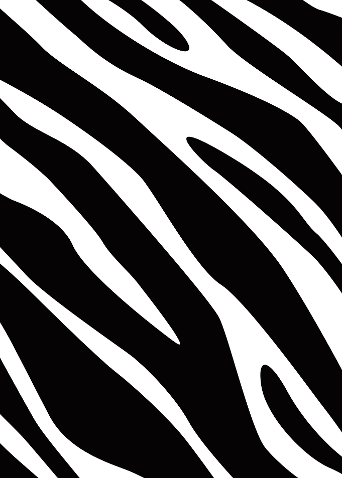 Zebra Stripes Pattern