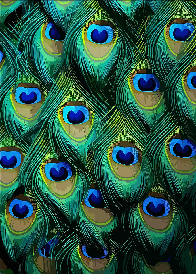 The Beauty of Peacock Feathers Close-Up