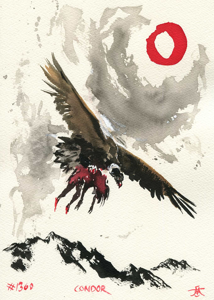 Condor