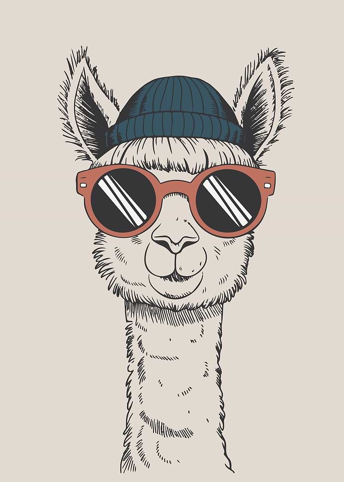 Cool Llama in Sunglasses