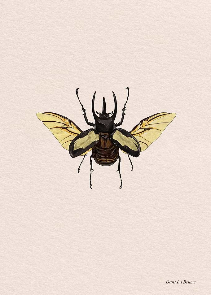 Beetle with Wings
