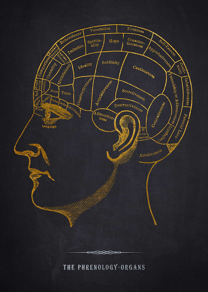 Phrenology Organs Chart