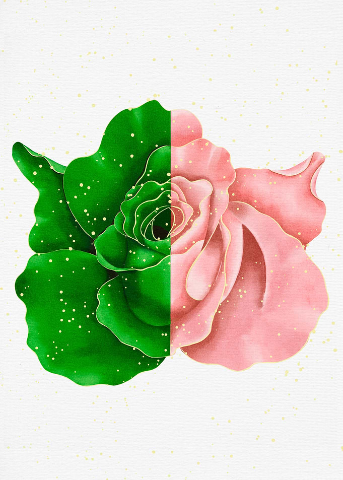 Green and Pink Rose
