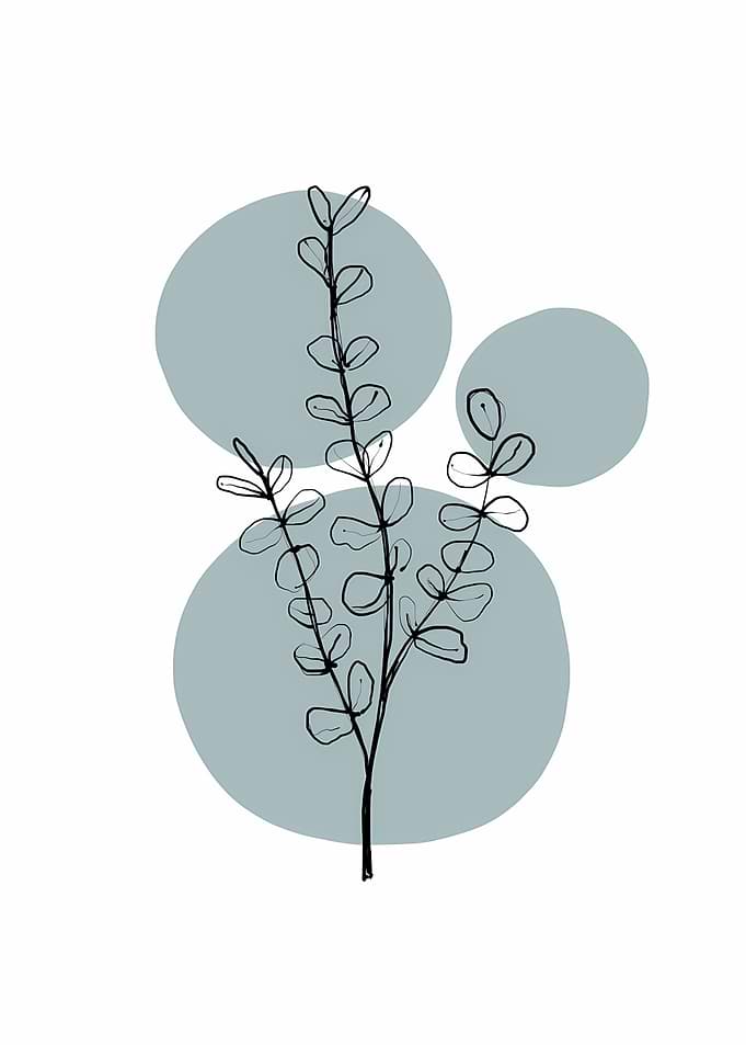 Eucalyptus Branch with Circles