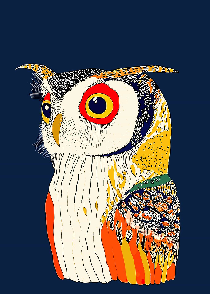 Colorful Owl Illustration