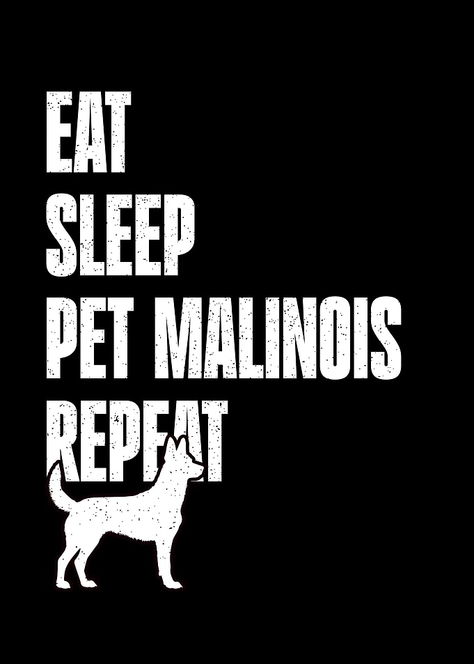 Malinois Dog Lover Design