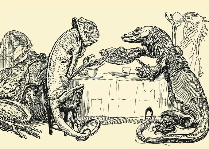 Reptile Tea Party