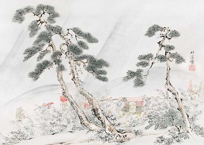 Japanese Pine Tree Landscape