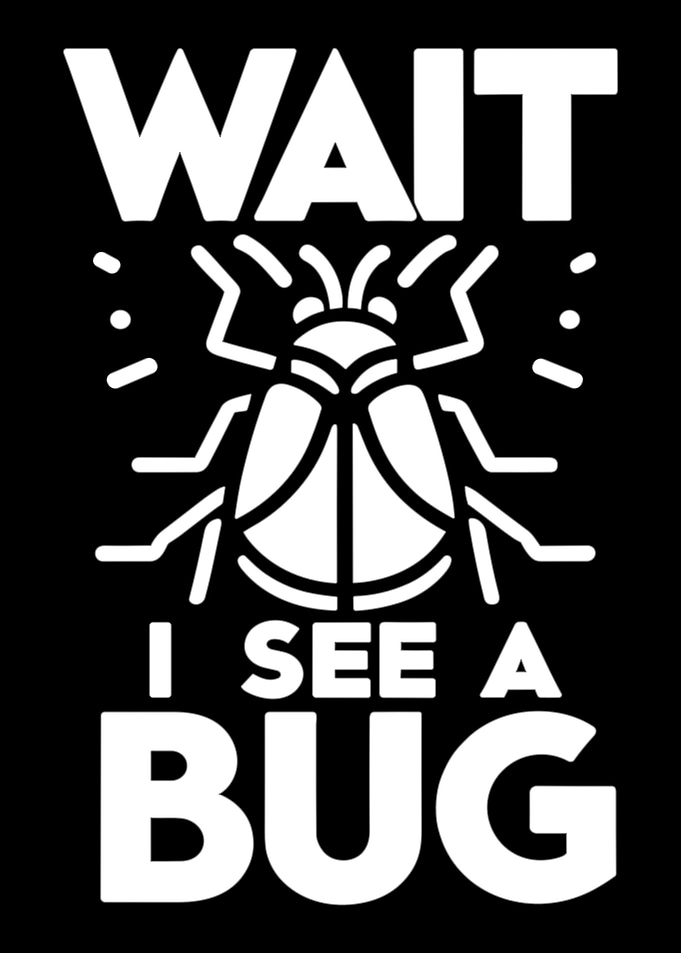 Wait, I see a bug