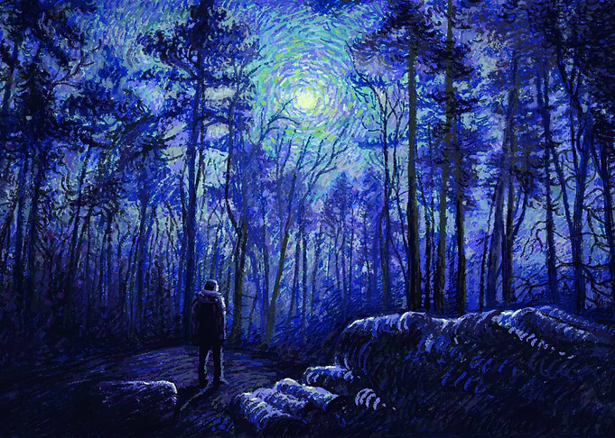 Nightly Forest