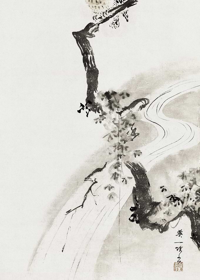 Owl on Branch with Stream