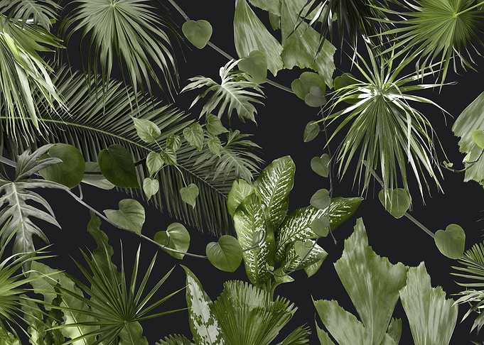 Lush Tropical Jungle 1