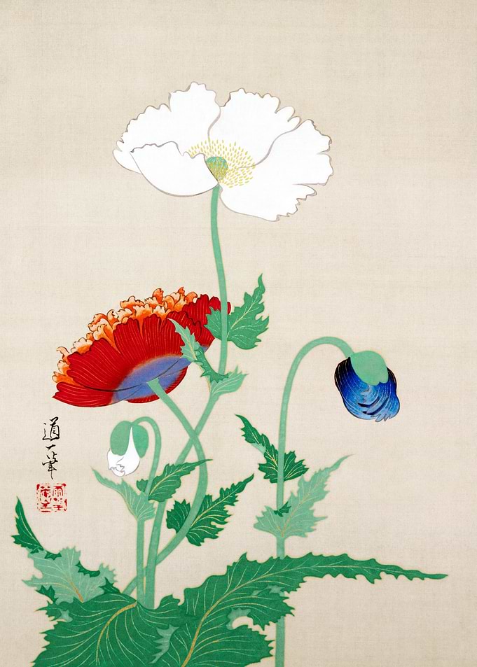 Japanese Poppy Painting