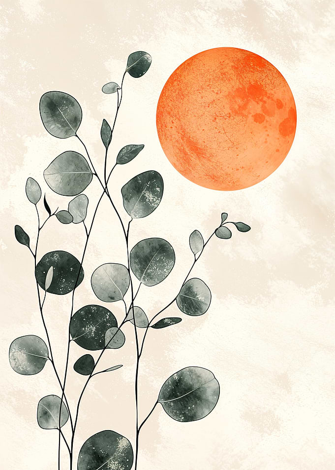 Eucalyptus and Sun