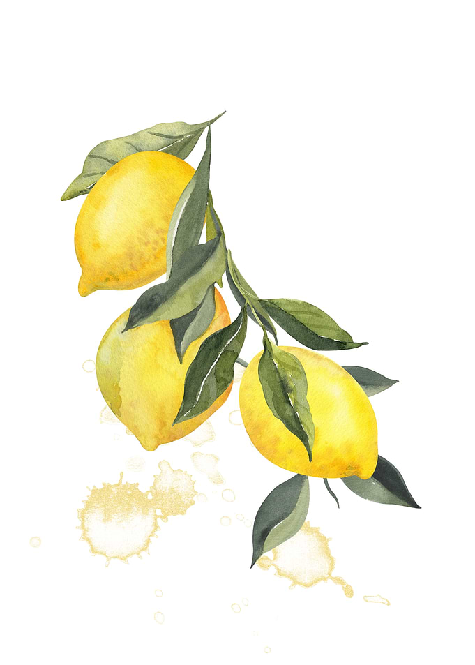 Watercolor Lemon Branch