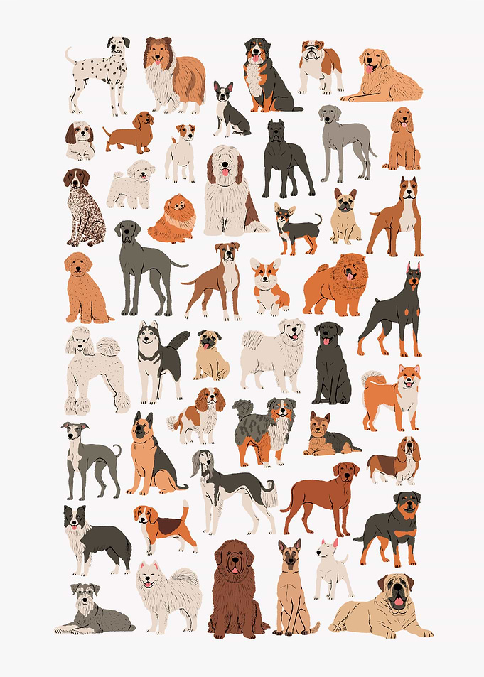 50 Dogs