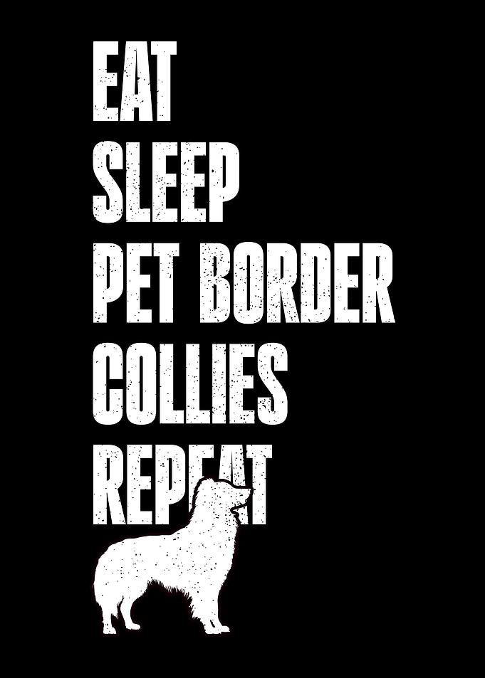 Border Collie Dog Lover Design