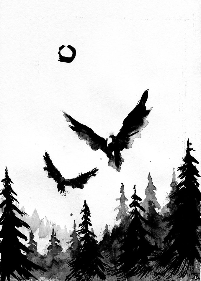Huginn Muninn