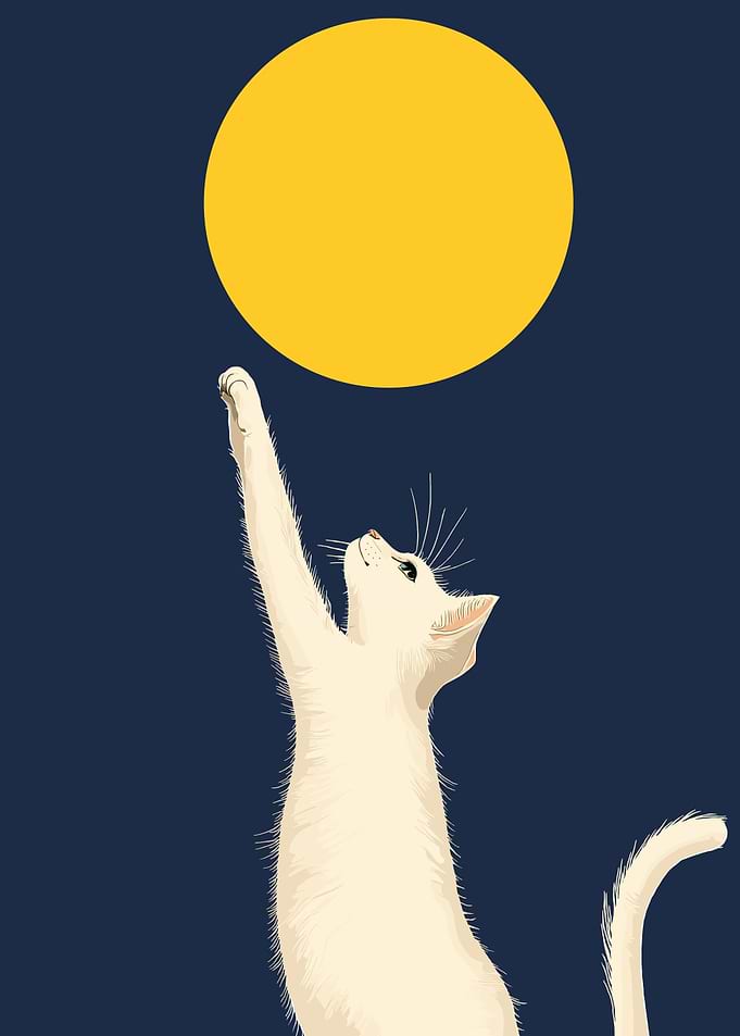 Cat Reaching for the Moon