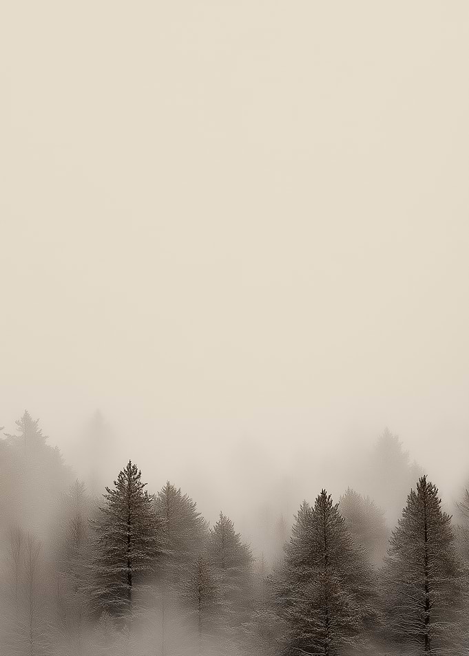 Misty Forest