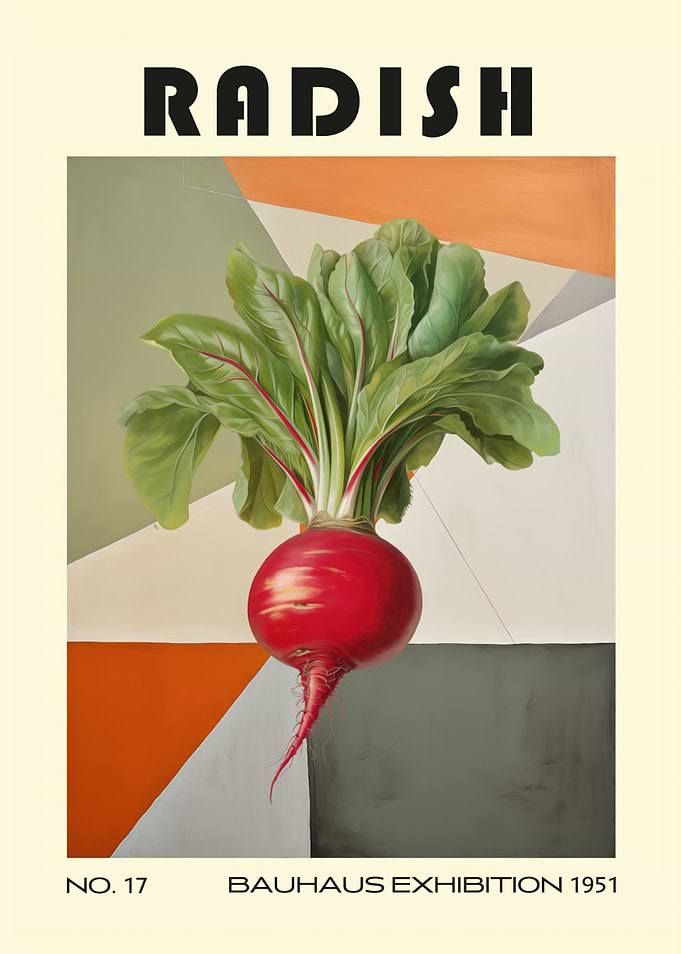 Radish Bauhaus Mid Century Kitchen